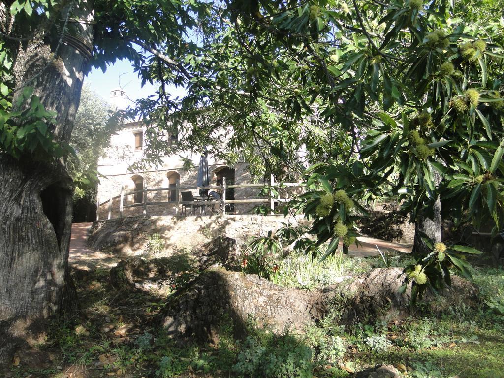 Finca La Colora Fuenteheridos Buitenkant foto